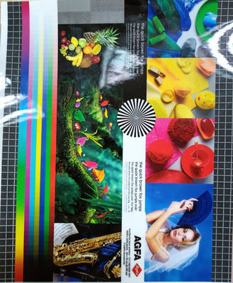 سعر جيد الطول 200-4000m فيلم التعبئة والتغليف PET EVA 22 miu لامعة متطاطية / لامعة لأداء التعبئة والتغليف المتفوق الانترنت